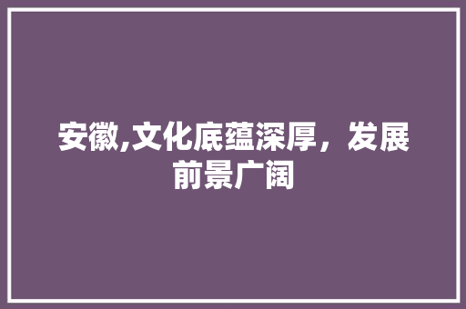 安徽,文化底蕴深厚，发展前景广阔