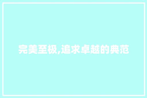 完美至极,追求卓越的典范
