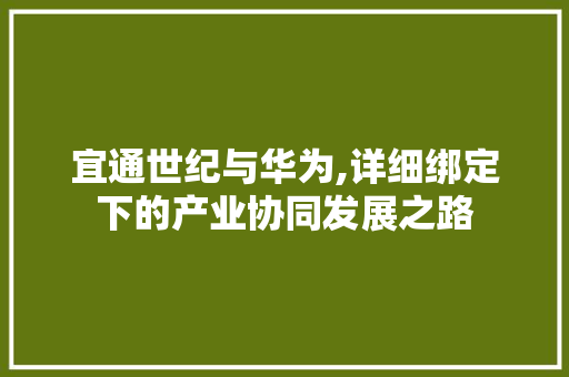 宜通世纪与华为,详细绑定下的产业协同发展之路