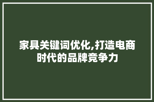 家具关键词优化,打造电商时代的品牌竞争力