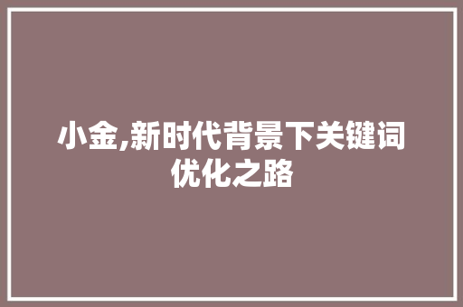 小金,新时代背景下关键词优化之路