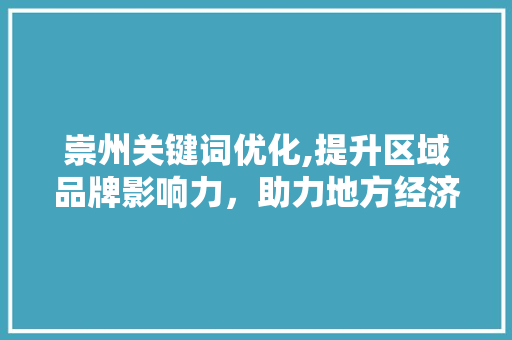 崇州关键词优化,提升区域品牌影响力，助力地方经济发展