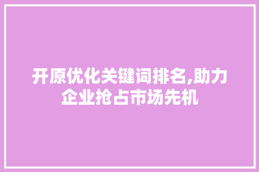 开原优化关键词排名,助力企业抢占市场先机