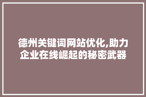 德州关键词网站优化,助力企业在线崛起的秘密武器