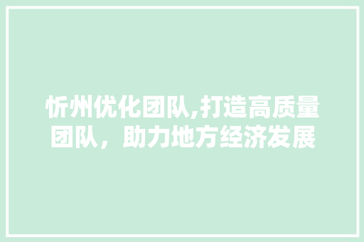 忻州优化团队,打造高质量团队，助力地方经济发展