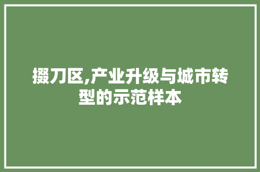 掇刀区,产业升级与城市转型的示范样本