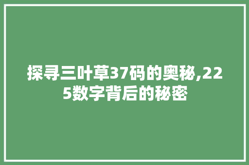 探寻三叶草37码的奥秘,225数字背后的秘密
