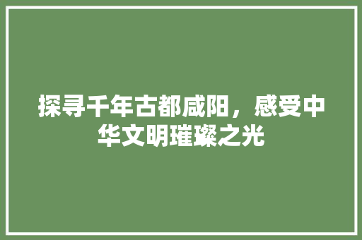 探寻千年古都咸阳，感受中华文明璀璨之光