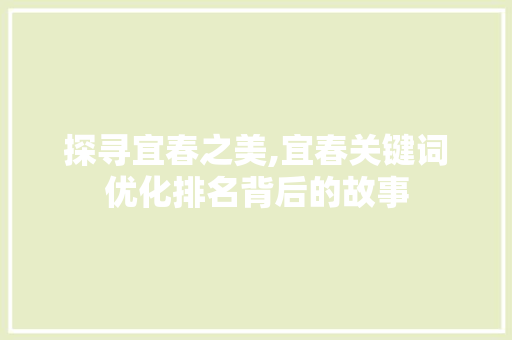 探寻宜春之美,宜春关键词优化排名背后的故事
