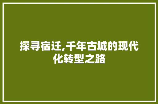 探寻宿迁,千年古城的现代化转型之路