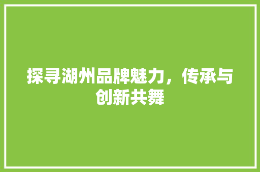 探寻湖州品牌魅力，传承与创新共舞