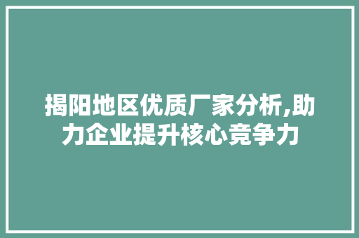 揭阳地区优质厂家分析,助力企业提升核心竞争力