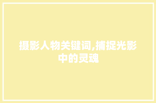 摄影人物关键词,捕捉光影中的灵魂