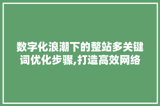 数字化浪潮下的整站多关键词优化步骤,打造高效网络品牌新形象