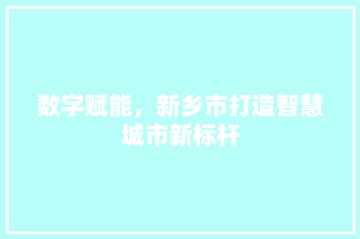 数字赋能，新乡市打造智慧城市新标杆