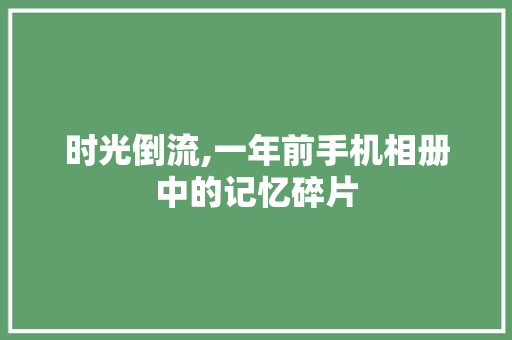时光倒流,一年前手机相册中的记忆碎片
