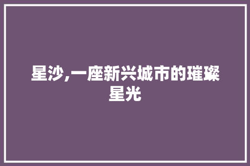 星沙,一座新兴城市的璀璨星光