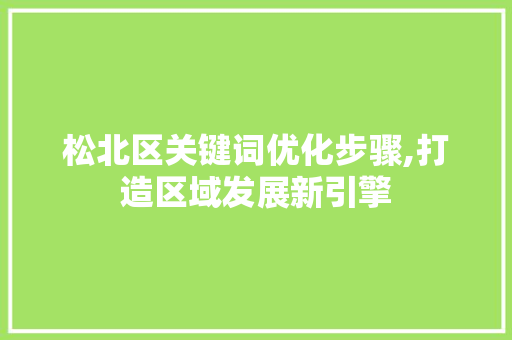 松北区关键词优化步骤,打造区域发展新引擎