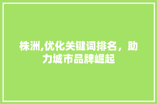 株洲,优化关键词排名，助力城市品牌崛起
