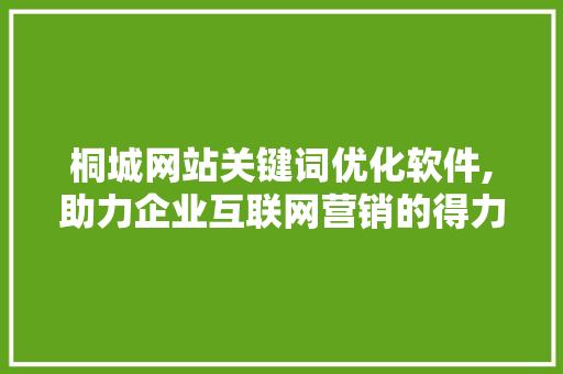 桐城网站关键词优化软件,助力企业互联网营销的得力助手
