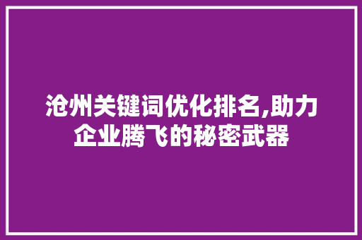 沧州关键词优化排名,助力企业腾飞的秘密武器