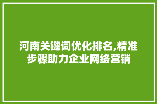 河南关键词优化排名,精准步骤助力企业网络营销