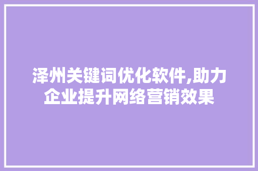 泽州关键词优化软件,助力企业提升网络营销效果