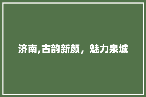 济南,古韵新颜，魅力泉城