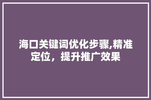 海口关键词优化步骤,精准定位，提升推广效果