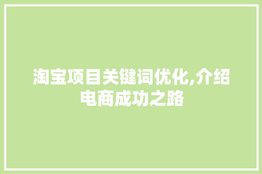 淘宝项目关键词优化,介绍电商成功之路