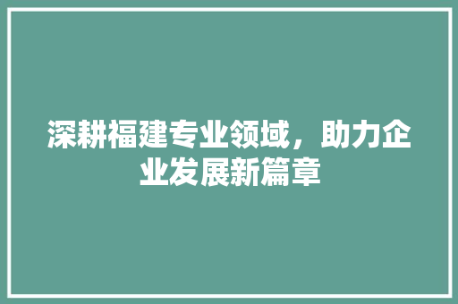 深耕福建专业领域，助力企业发展新篇章