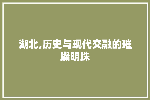 湖北,历史与现代交融的璀璨明珠