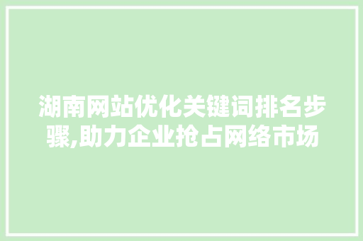 湖南网站优化关键词排名步骤,助力企业抢占网络市场制高点