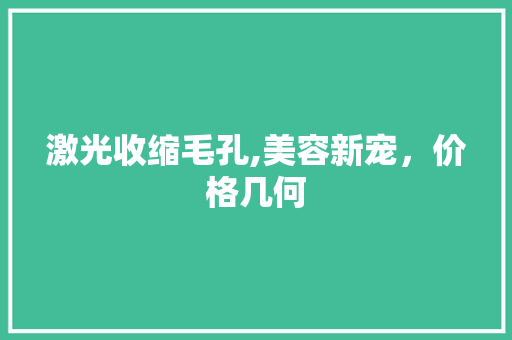 激光收缩毛孔,美容新宠，价格几何