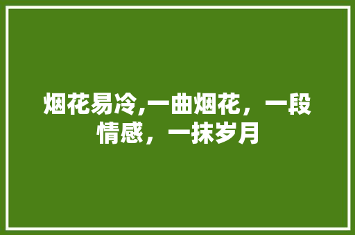 烟花易冷,一曲烟花，一段情感，一抹岁月