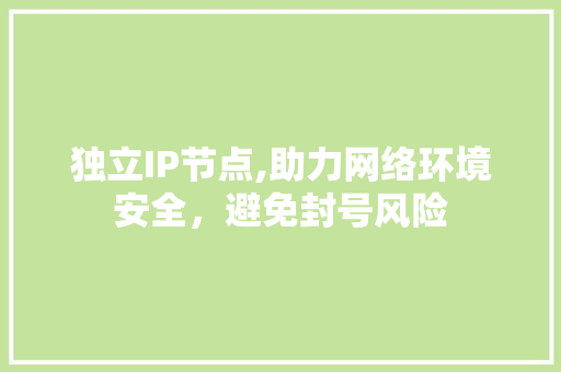 独立IP节点,助力网络环境安全，避免封号风险