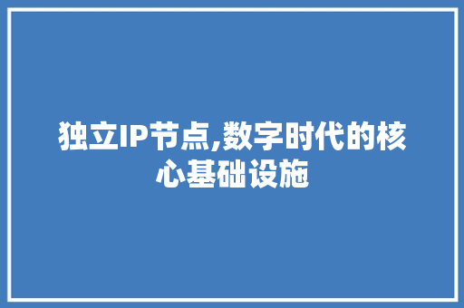 独立IP节点,数字时代的核心基础设施