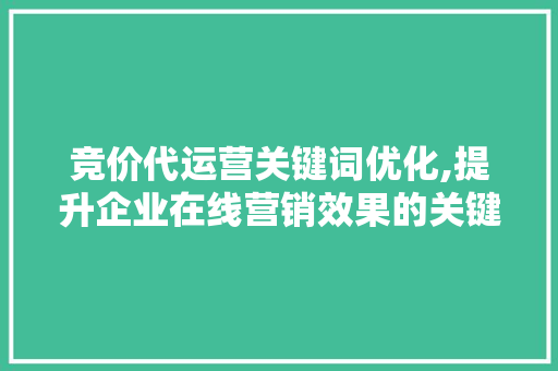 竞价代运营关键词优化,提升企业在线营销效果的关键步骤