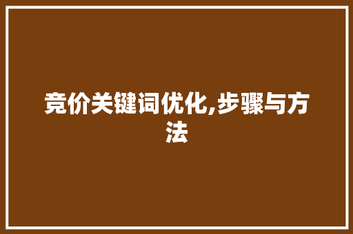 竞价关键词优化,步骤与方法