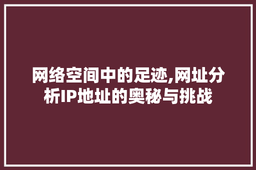 网络空间中的足迹,网址分析IP地址的奥秘与挑战