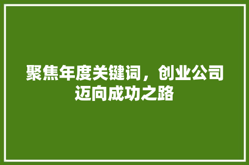 聚焦年度关键词，创业公司迈向成功之路