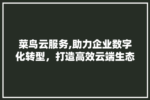 菜鸟云服务,助力企业数字化转型，打造高效云端生态