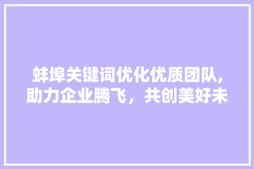 蚌埠关键词优化优质团队,助力企业腾飞，共创美好未来