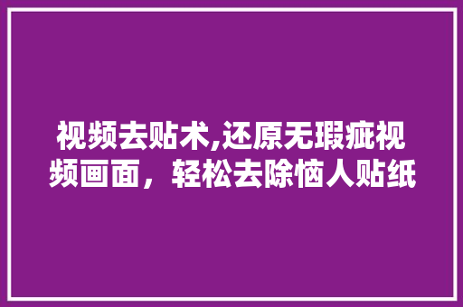 视频去贴术,还原无瑕疵视频画面，轻松去除恼人贴纸