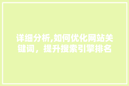 详细分析,如何优化网站关键词，提升搜索引擎排名