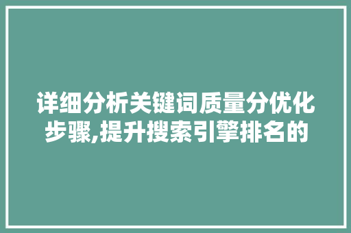 详细分析关键词质量分优化步骤,提升搜索引擎排名的艺术