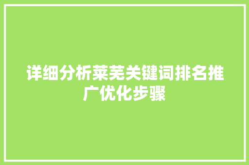 详细分析莱芜关键词排名推广优化步骤
