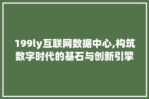 199ly互联网数据中心,构筑数字时代的基石与创新引擎