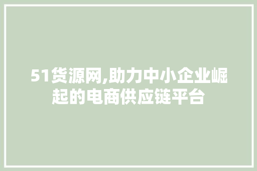51货源网,助力中小企业崛起的电商供应链平台