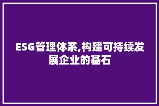 ESG管理体系,构建可持续发展企业的基石